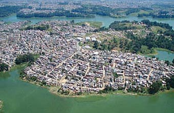 urbanização e biodiversidade