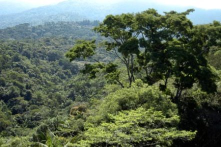 unidades-conservacao