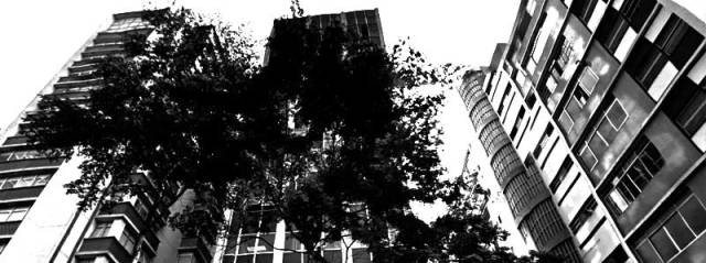 arquitetura e cidade3