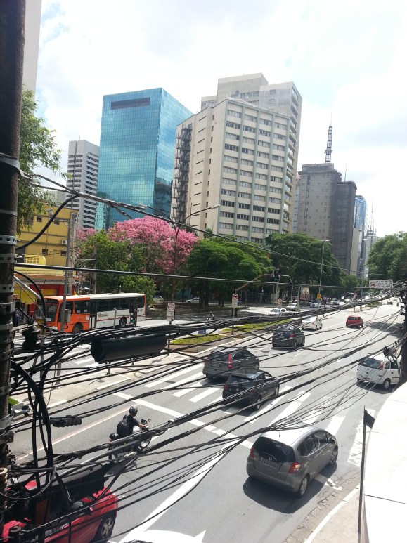 av paulista9