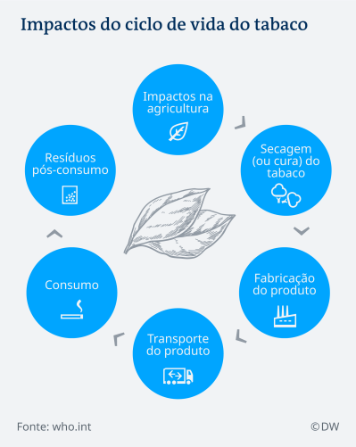 cigarro_ciclo de vida do tabaco